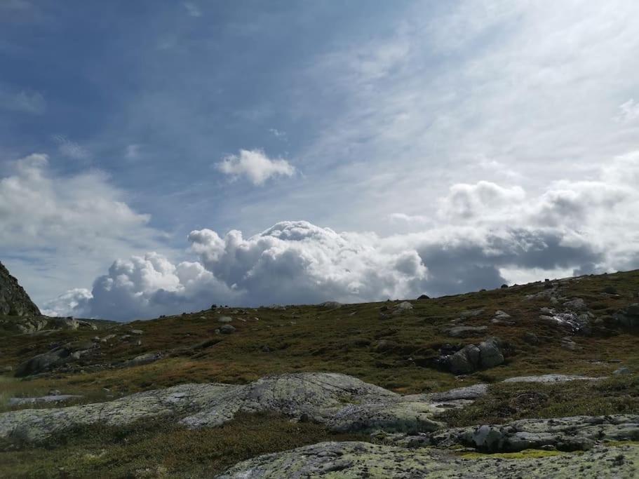 Hoyfjellshytte *