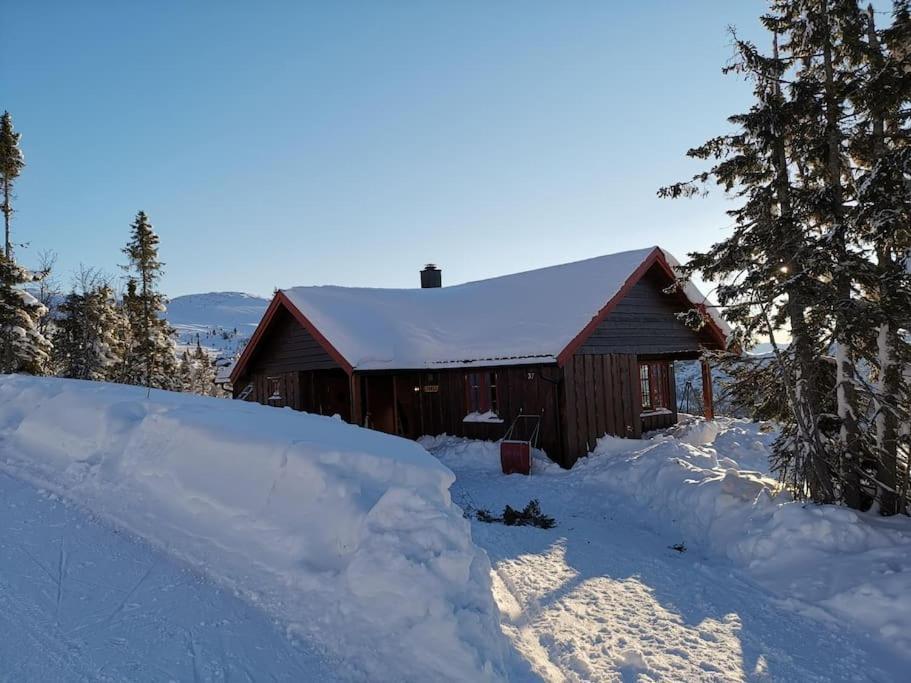 Holiday home Hoyfjellshytte Fla
